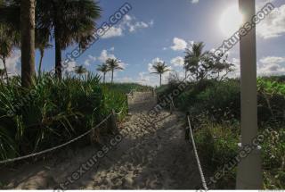background beach Miami 0008